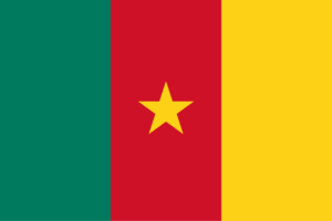 Recruitement in Cameroon
