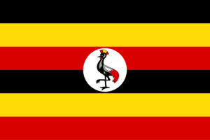 Recruitement in Uganda